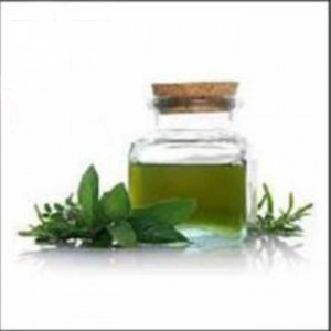 Best-Price-of-Fragrance-Peppermint-Oil