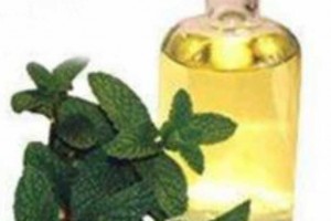 Hot-selling-Food-Grade-Spearmint-Oil