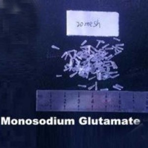 Monosodium-Glutamate-MSG-20-mesh-food-grade